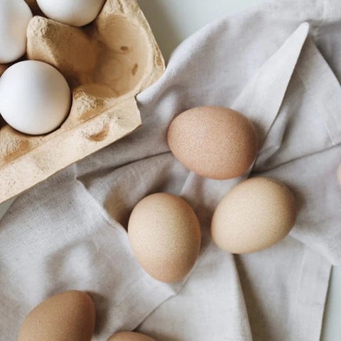 Eier von FAMILIE ALPIGER, BIO-HOF GULA/RUEUN