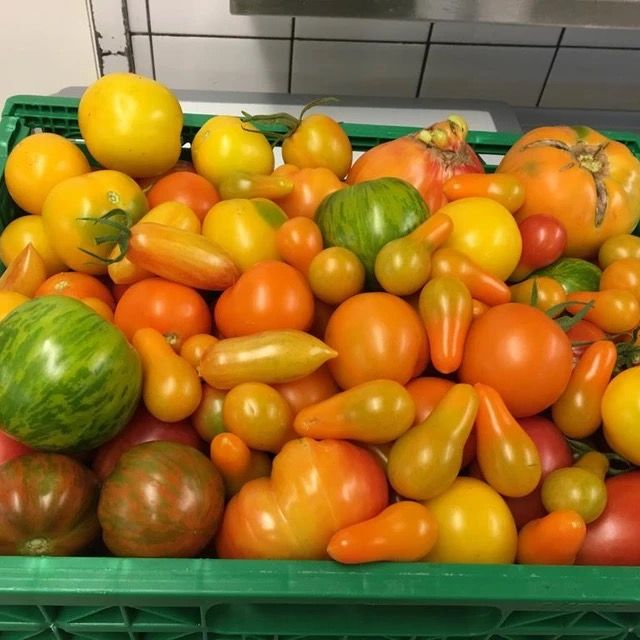 verschiedene Tomaten von SVEN SEELI