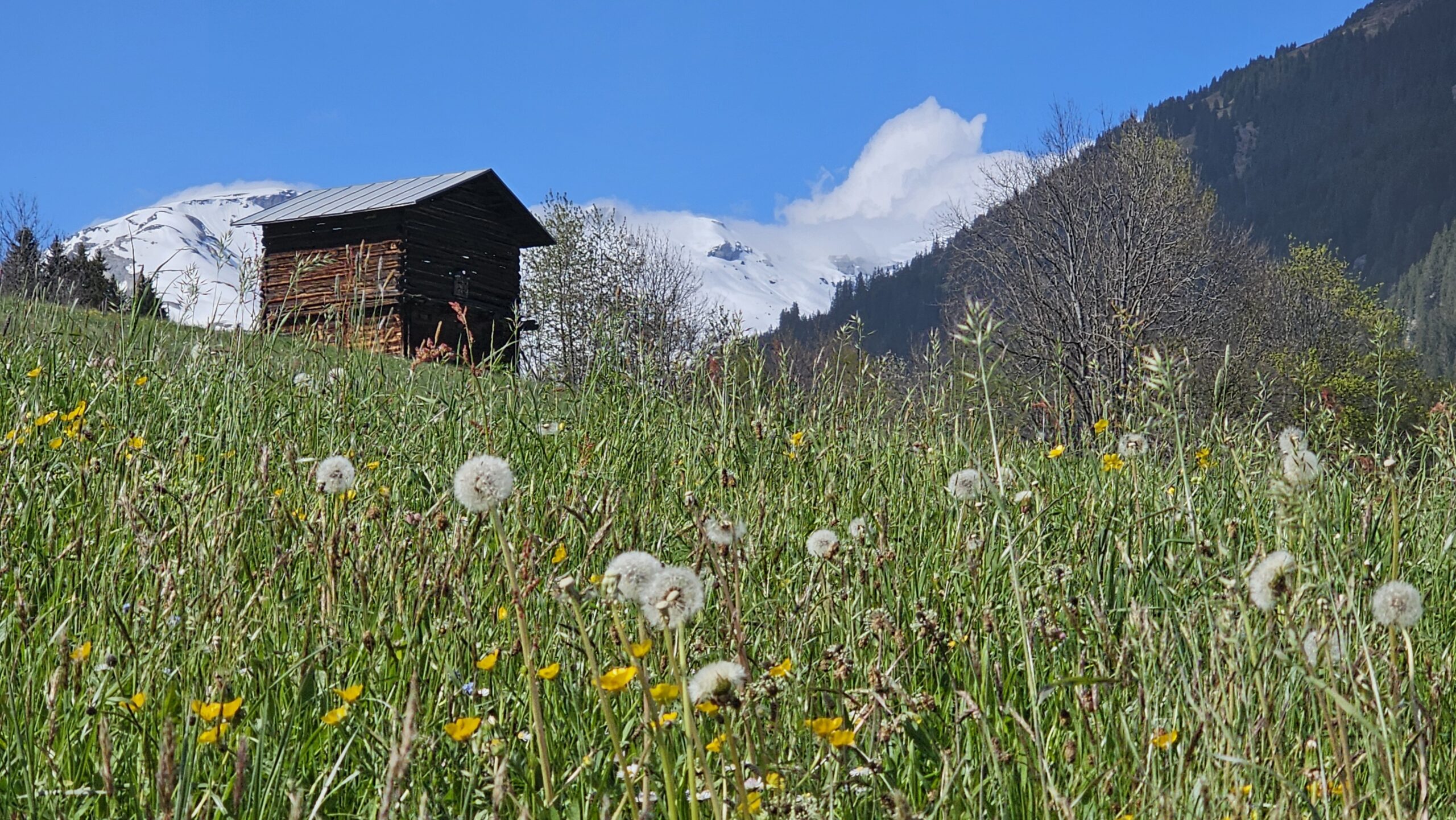 Wanderwege in der Surselva führen an unberührter Natur vorbei.