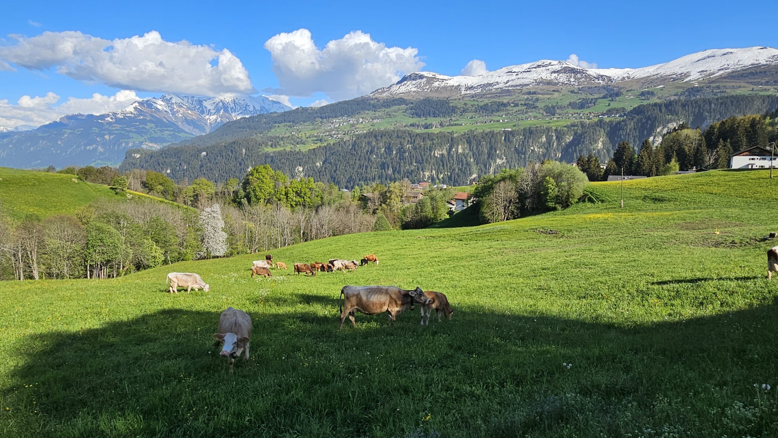 Greina-Hochebene & Val Frisal: Einzigartige, weitläufige Hochtäler und Tundra-Landschaften für ausgiebige Trekkingtouren.