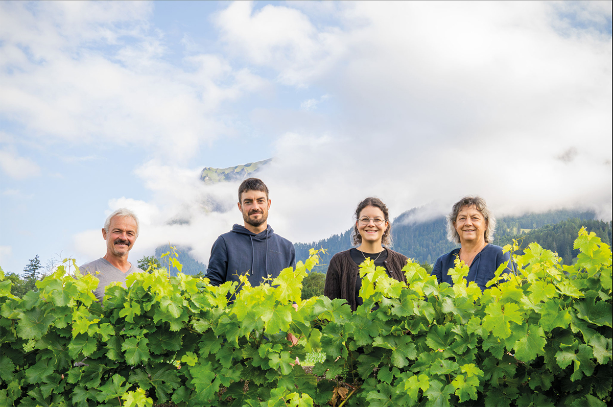 Vier Personen stehen hinter grünen Weinreben vor einer Bergkulisse.