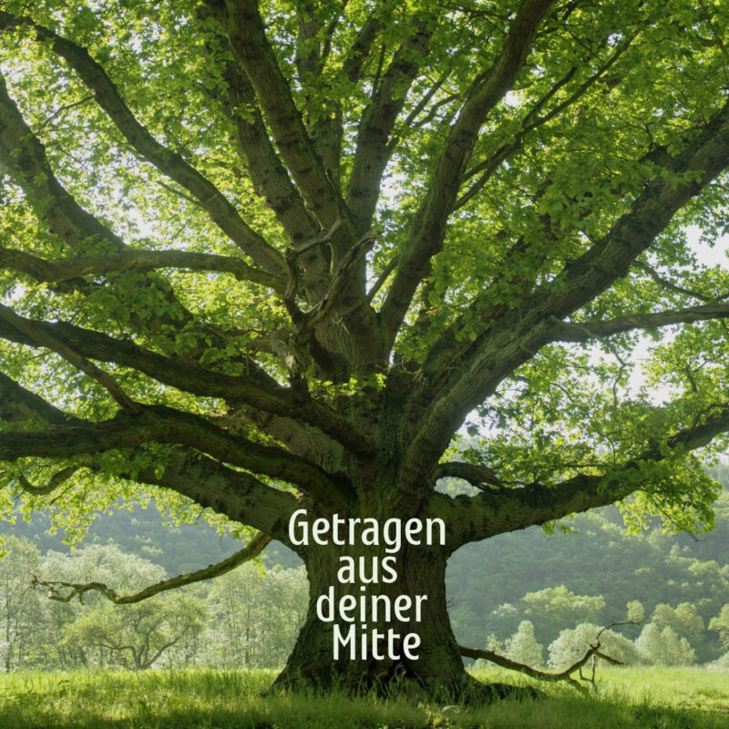 Alter Baum mit Aufschrift: Getragen aus deiner Mitte.